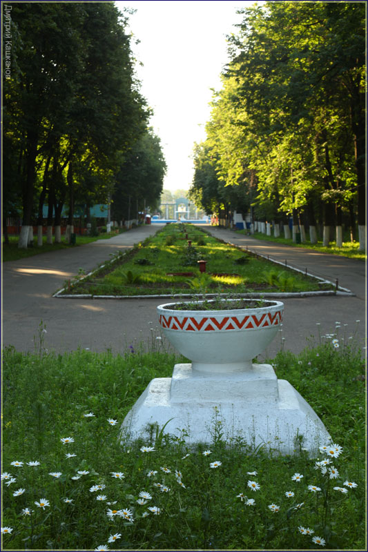 Главная аллея парка. Автозаводский парк Нижнего Новгорода. Фото