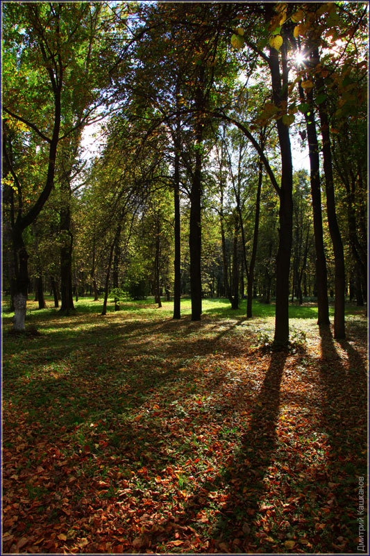 Осенний парк. Парки Нижнего Новгорода осенью. Фото Дмитрия Кашканова