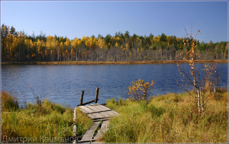 Красивый осенний пейзаж с лесным озером. Осенние фото. Дмитрий Кашканов