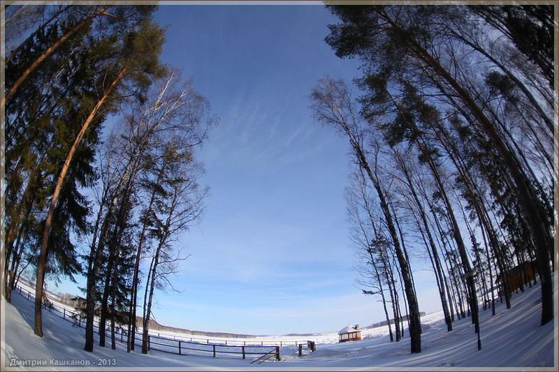 Зимний пейзаж. Снег. Деревья. Искажения. Фотографии FishEye