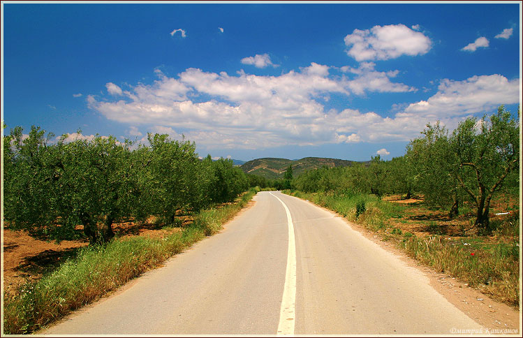 Греция. Горная дорога через оливковую рощу
