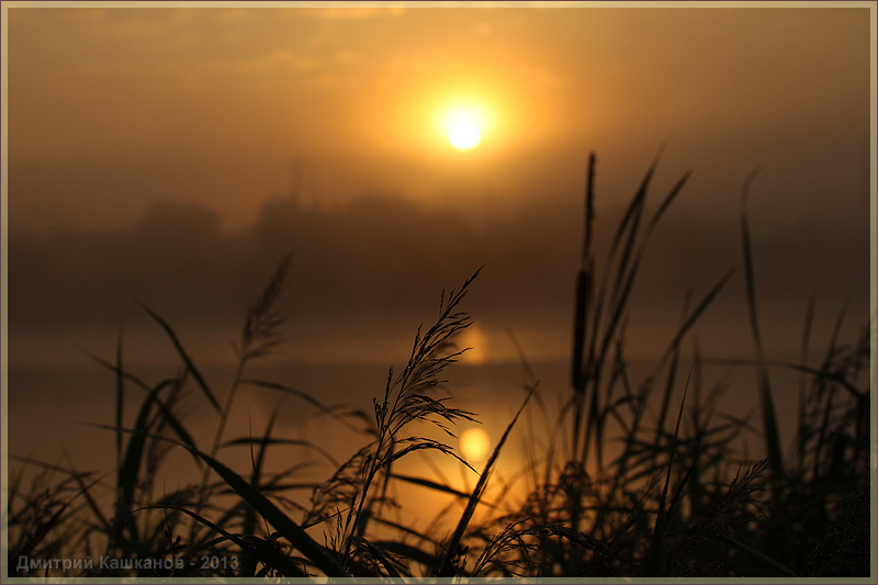 Утренний пейзаж с травой и восходом солнца