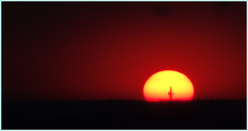 Закат в прерии. Одинокий кактус на фоне солнца