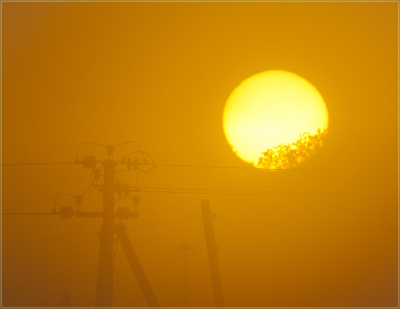 Фото восхода солнца. Солнце за деревьями и столбы в тумане
