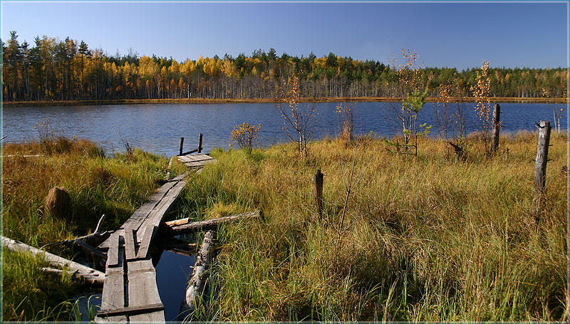 Осенний пейзаж. Мостик, озеро, лес
