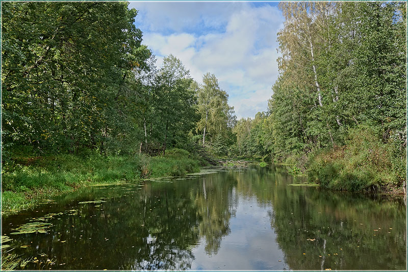 Суворощь. Лесная река. Осенний пейзаж