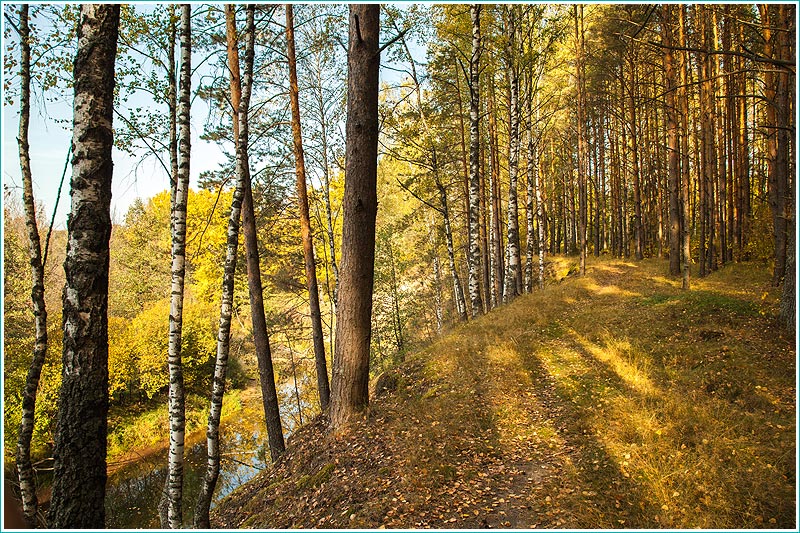 Осенний лес. Тропинка по берегу реки