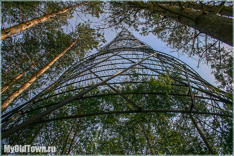 Фотографии Башни Шухова и деревьев вокруг