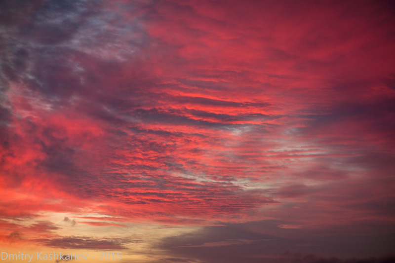 Красивые багровые облака на закате. Фото