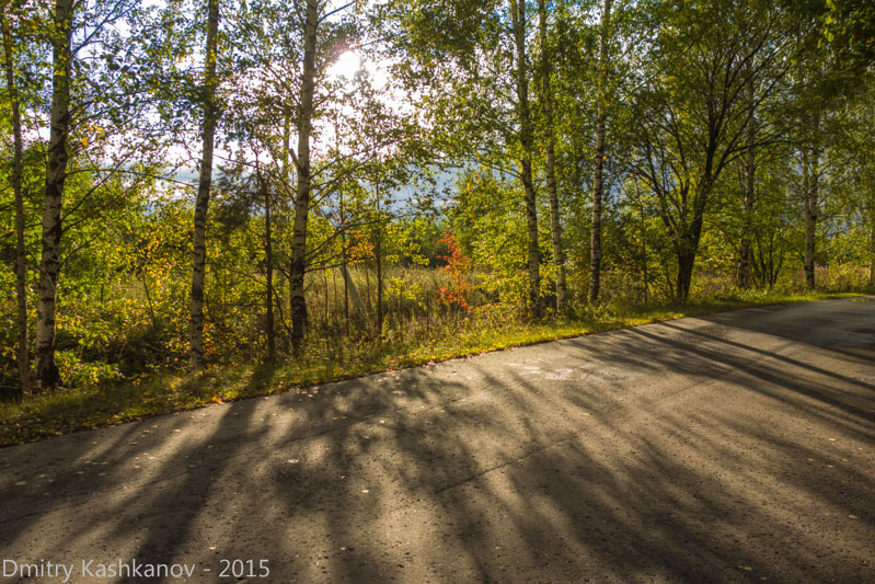 Солнце и тени от деревьев на дороге