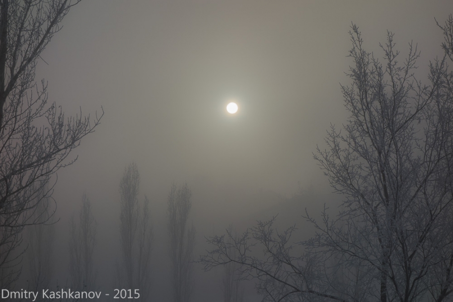 Фотография Луны в тумане