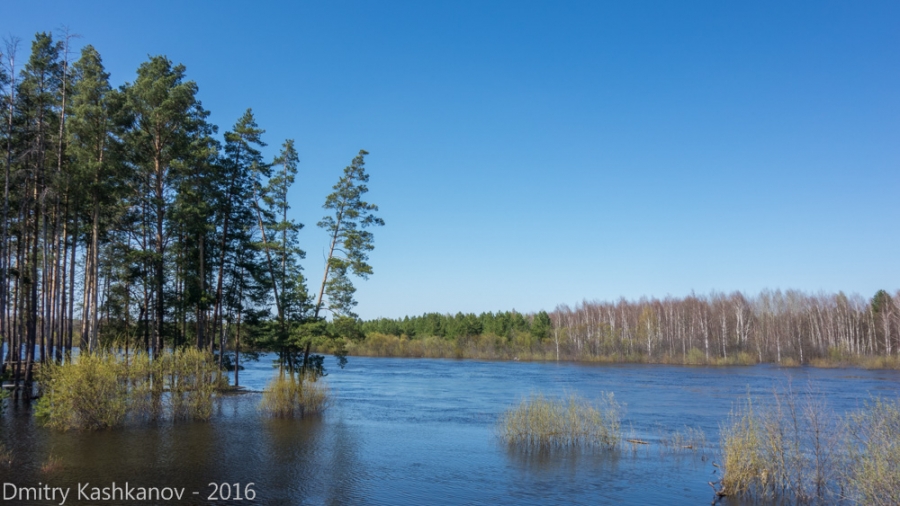Фото разлива на реке Керженец. Нижний Новгород. Весна