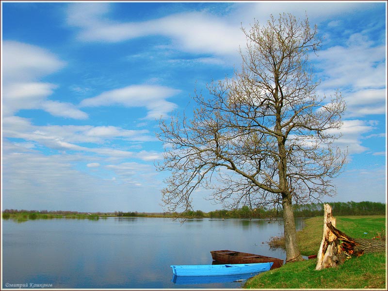 Весенний пейзаж с дубом и лодками. Горизонтальное фото