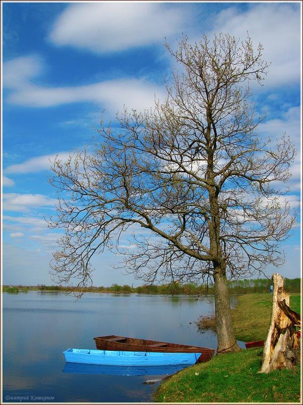 Весенний пейзаж с дубом и лодками
