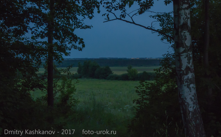 Ночная фотография. Вид на поле через окно в зарослях