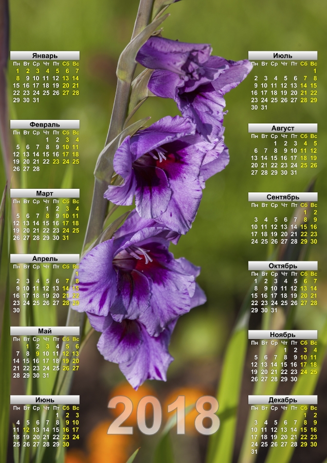 Красивый календарь на 2018 год. Цветок. Гладиолус