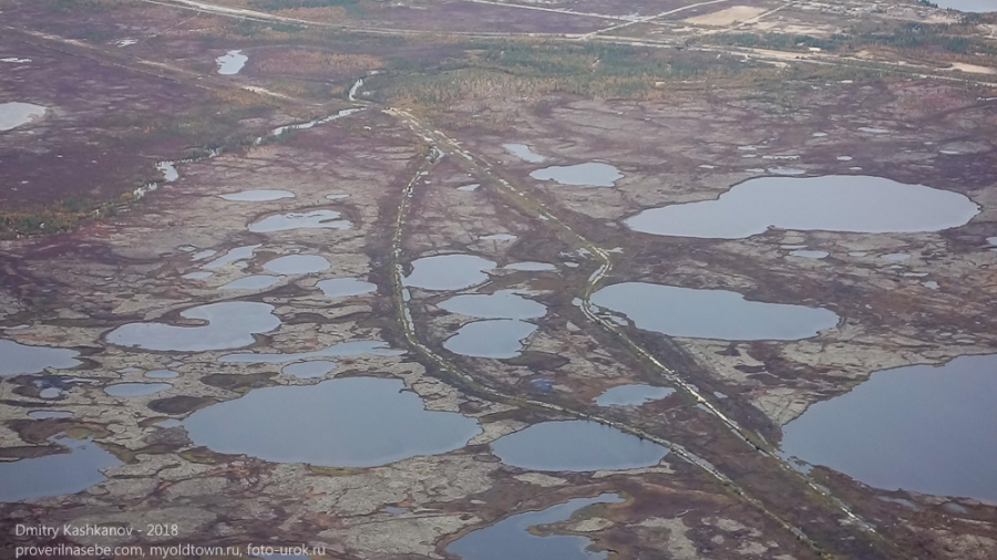 Тундра осенью. Озера и болота. Фото с самолета