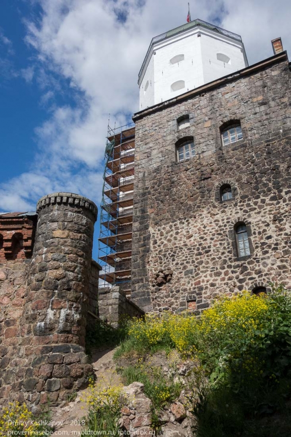 Выборгский замок. Крепостные стены и Башня Олафа