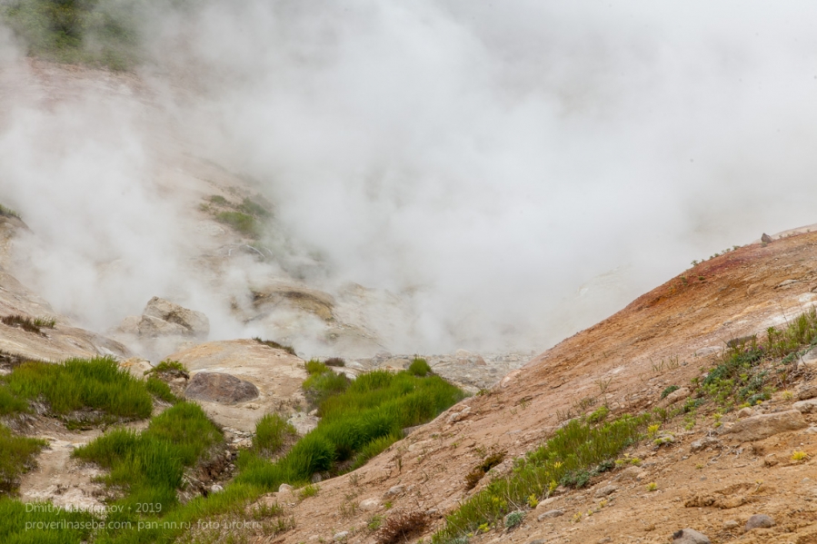 Мини-долина гейзеров у Мутновского вулкана. Камчатка