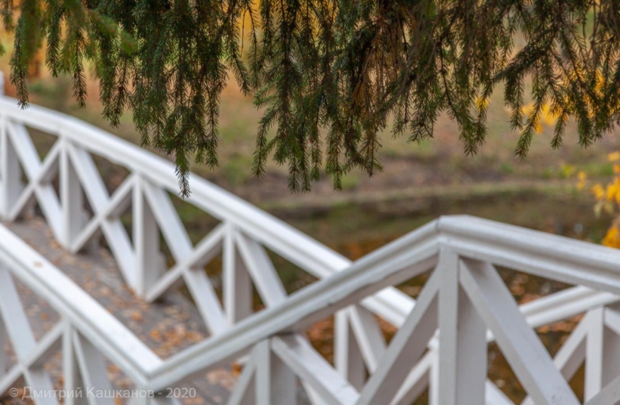 Болдинская осень. Горбатый мостик
