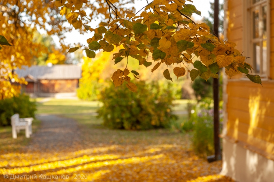 Болдинская осень. Фото с желтыми листьями на фоне усадьбы