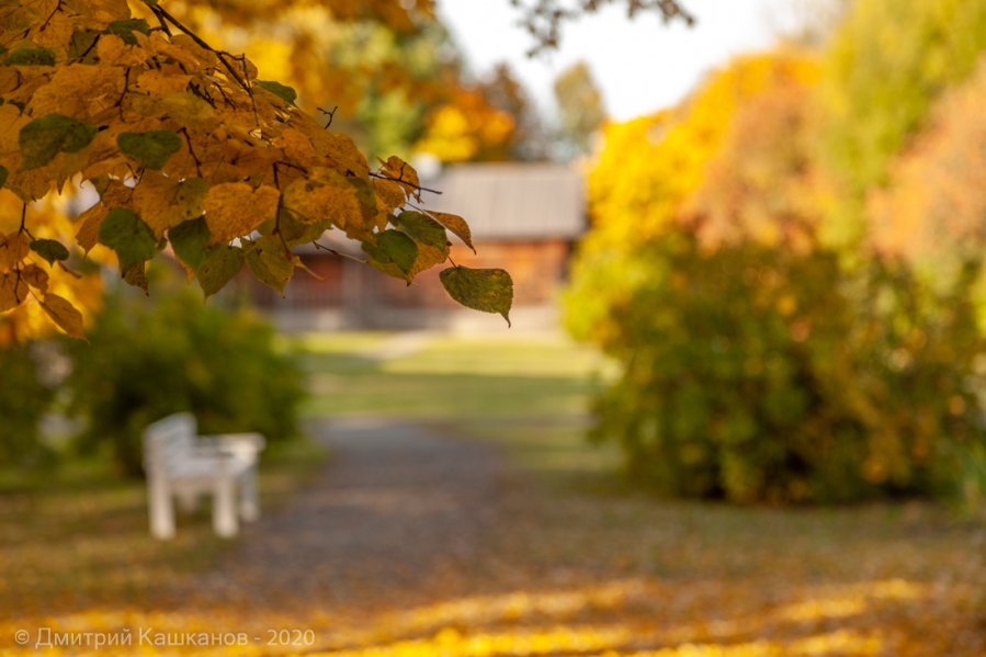 Болдинская осень. Фото с листьями на фоне усадьбы