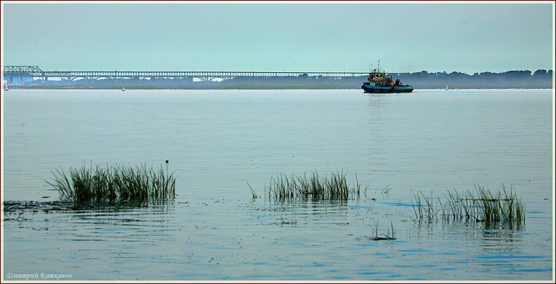 Утро на реке. Туман над водой. Река Волга. Утренний пейзаж
