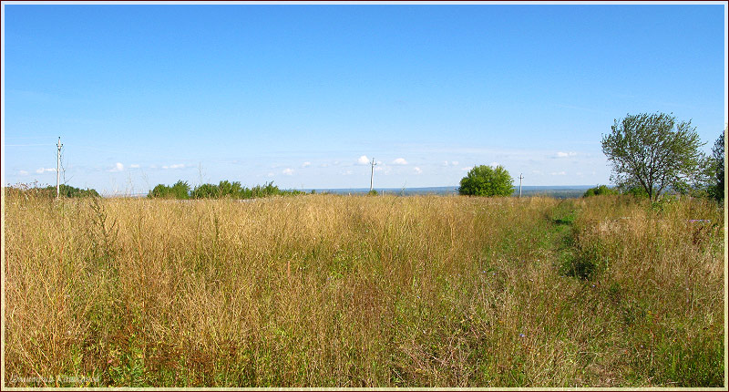 Заброшенное поле. Поле с сорняками. Дорога. Самые красивые фото лета 2011