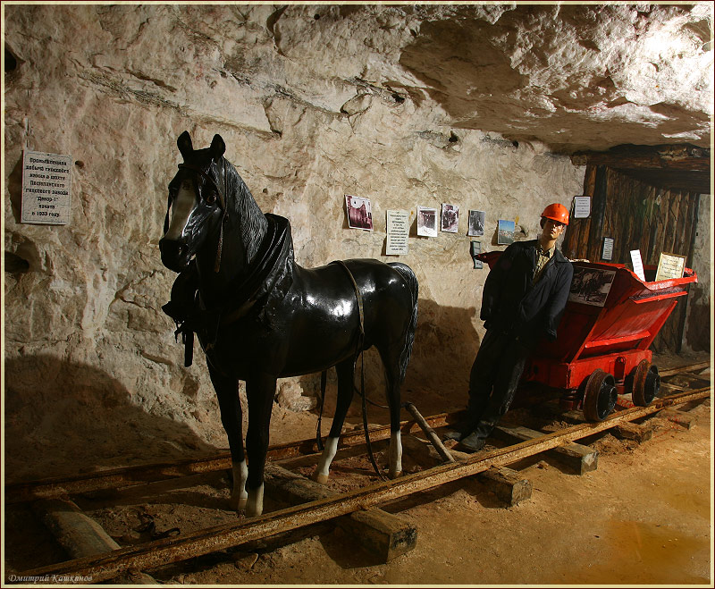 Лошади в шахте. Пешелань. Подземный музей в шахте. Затерянный мир. Красивые фото высокого качества.